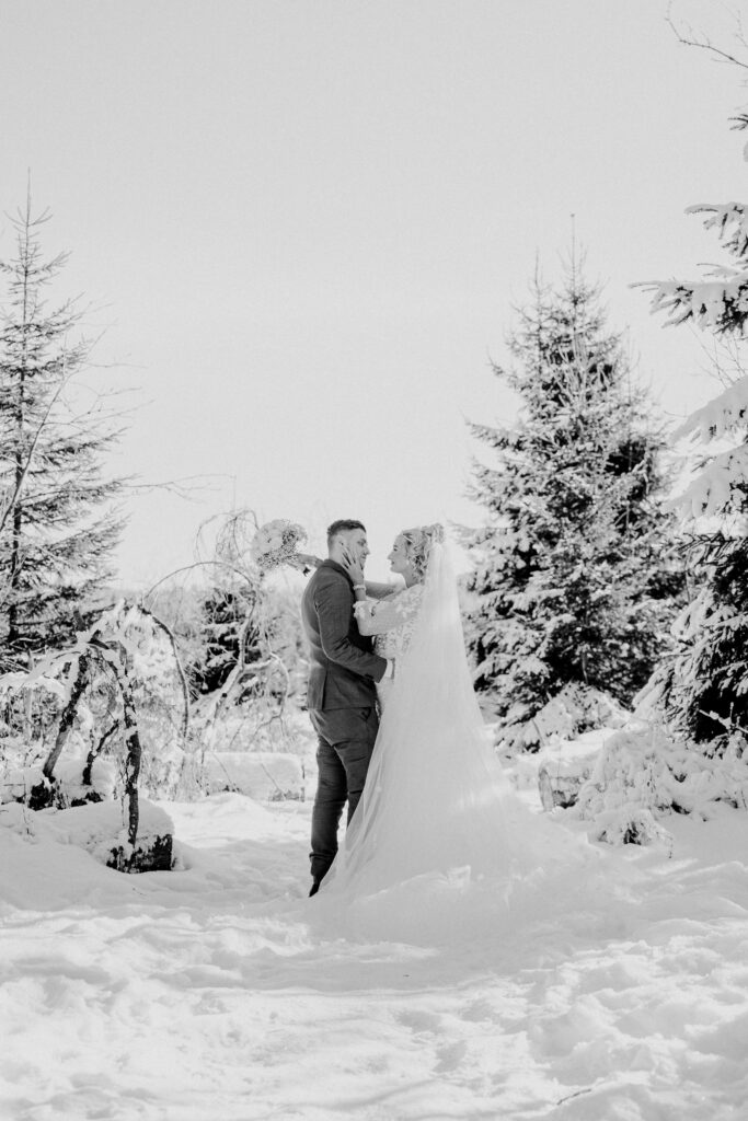 After-Wedding Shooting im Schnee am Oderteich